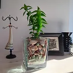 Casa Regina Baiona- Ideal Familias, Grupos Y Peregrinos Cerca Playa Gæstehus