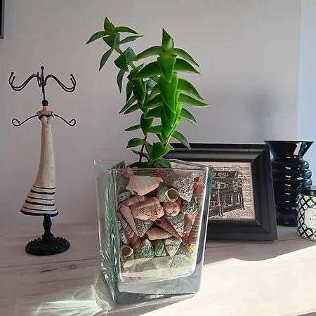 Casa Regina Baiona- Ideal Familias, Grupos Y Peregrinos Cerca Playa Penzion