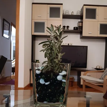 Casa Regina Baiona- Ideal Familias, Grupos Y Peregrinos Cerca Playa Гостевой дом Байона