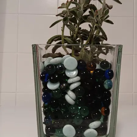 Penzion Casa Regina Baiona- Ideal Familias, Grupos Y Peregrinos Cerca Playa 4*