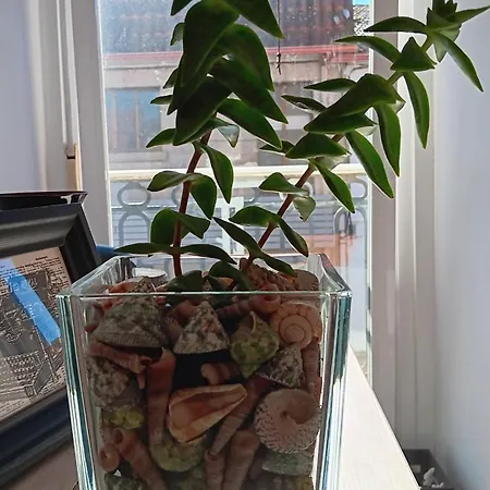 Casa Regina Baiona- Ideal Familias, Grupos Y Peregrinos Cerca Playa Penzion Baiona